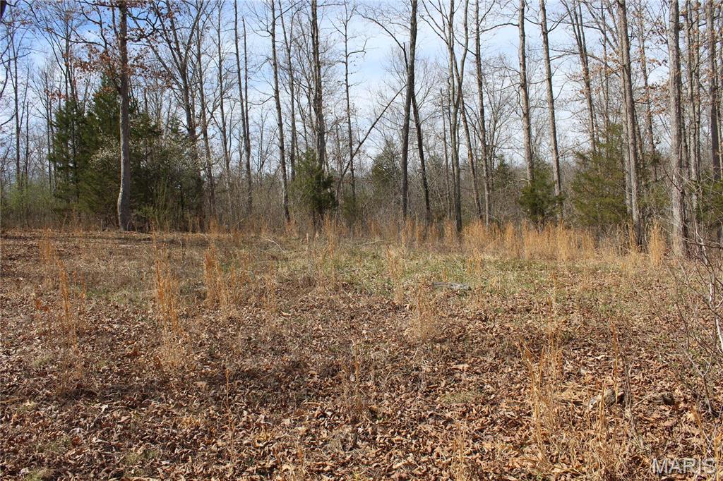 12 Berryman Cut-Off Road Steelville, MO 65565 - Photo 10 of 23