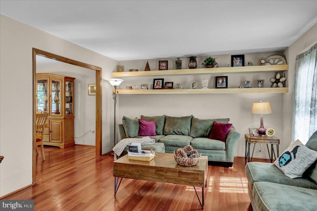 Gallery Image 7