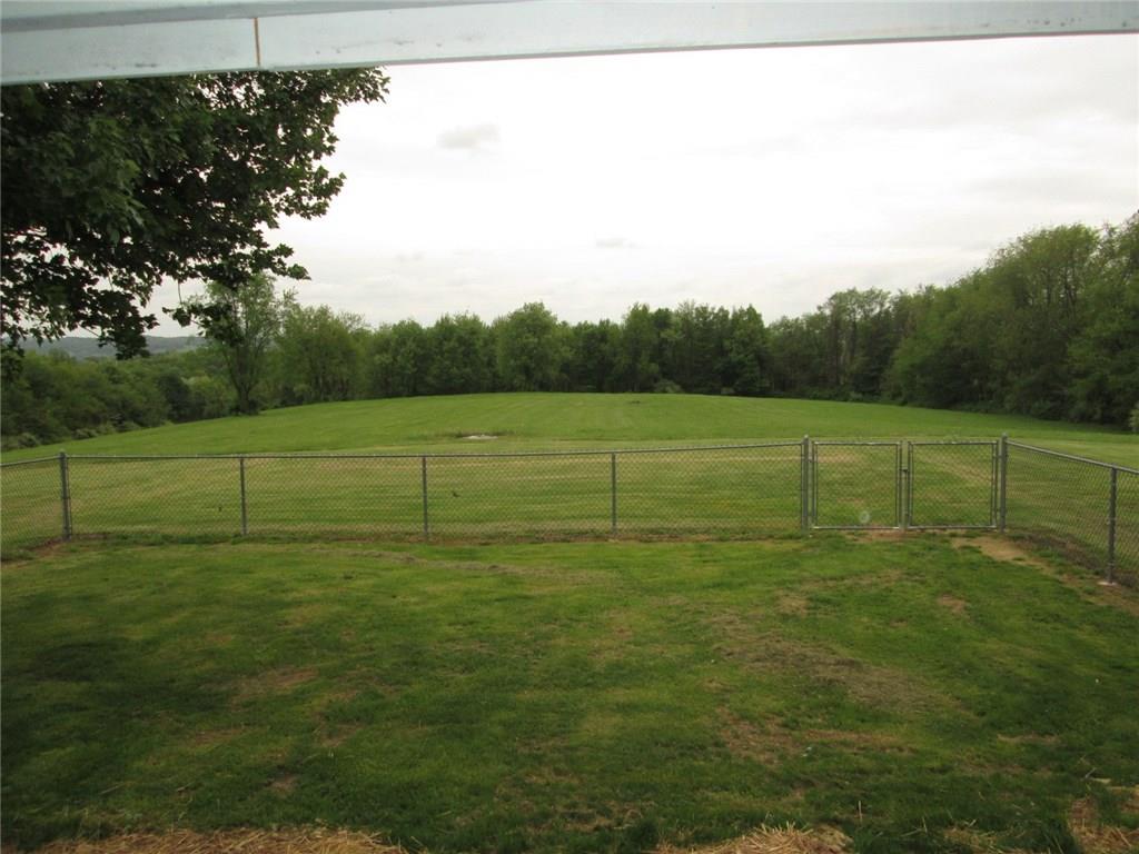 294 Iron Bridge Road Kittanning, PA 16201 - Photo 7 of 24 Small fenced in area for the small critters, property includes what you see in the photo to the tree lines, plus some!