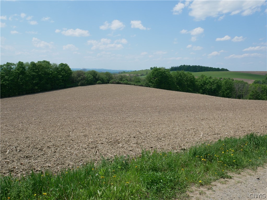Canning Factory Road Waterville, NY 13480 - Photo 12 of 17