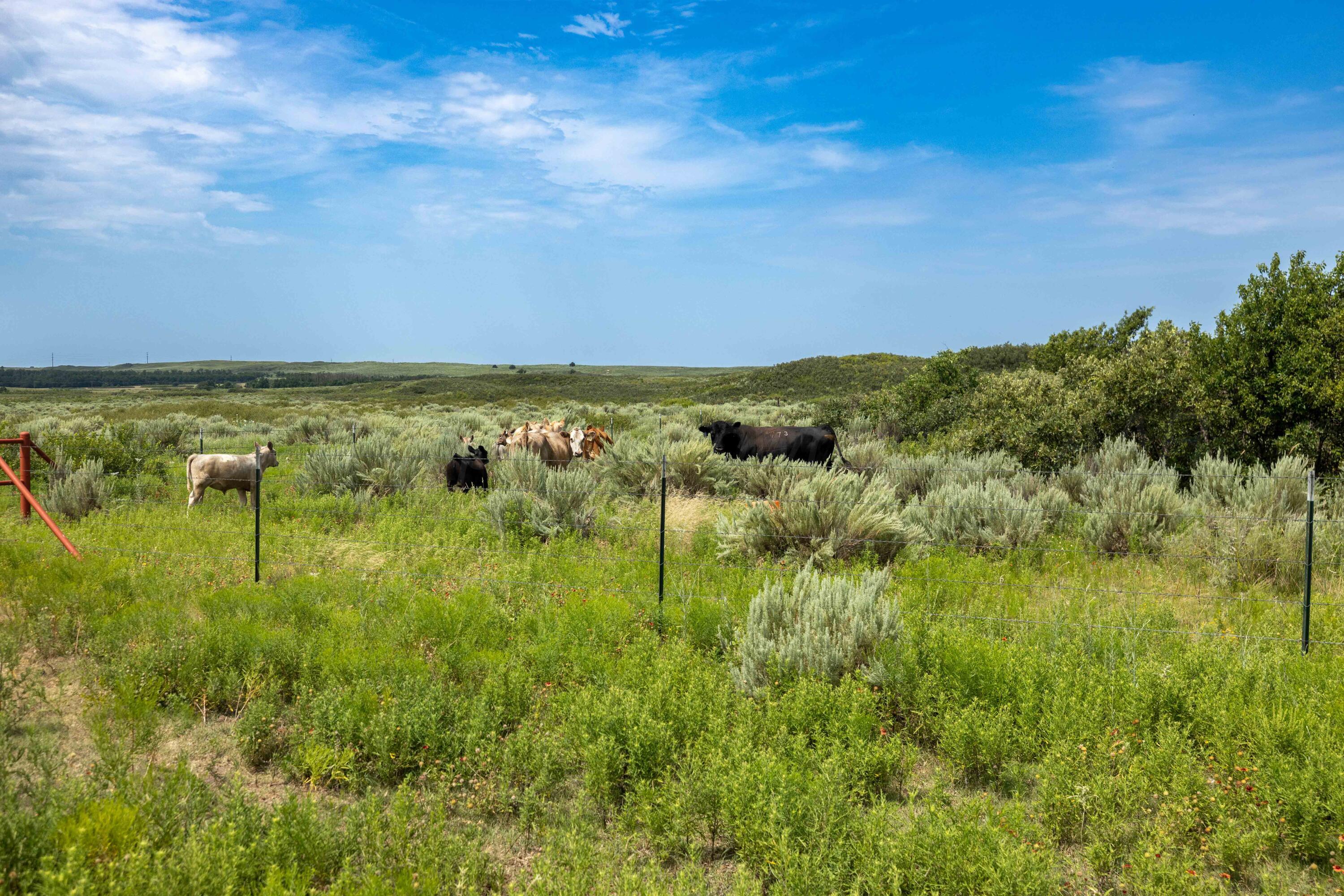 Christner Ranch Wheeler, TX 79096 - Photo 12 of 58 a view of lake with green space