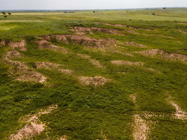 a view of a swimming pool with a yard
