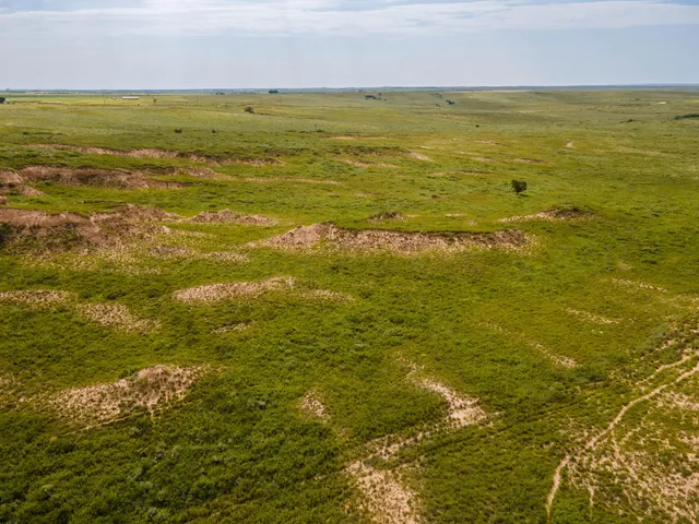 a view of beach and swimming pool
