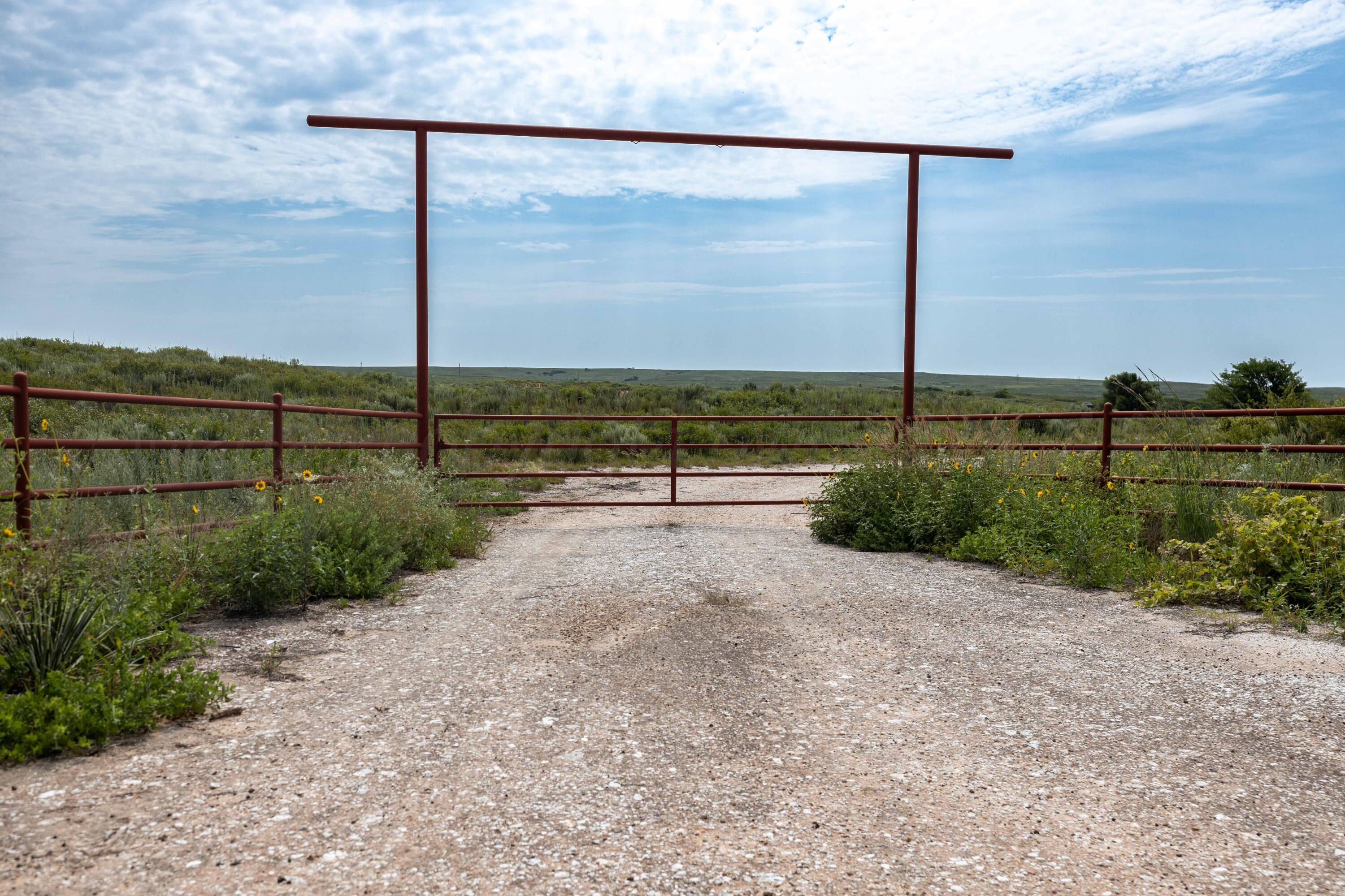 Christner Ranch Wheeler, TX 79096 - Photo 2 of 58 a view of a garden