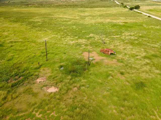 a view of a big yard of the house
