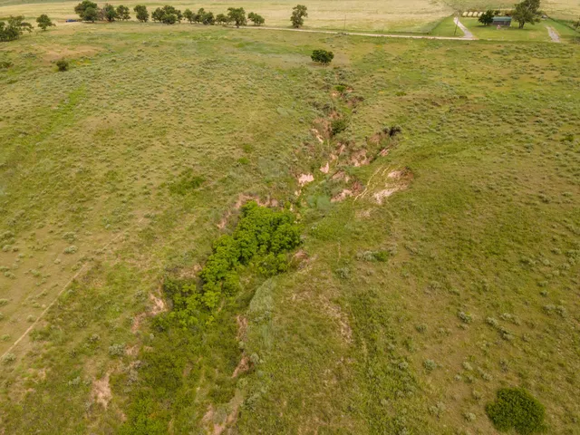 a view of an ocean from a yard