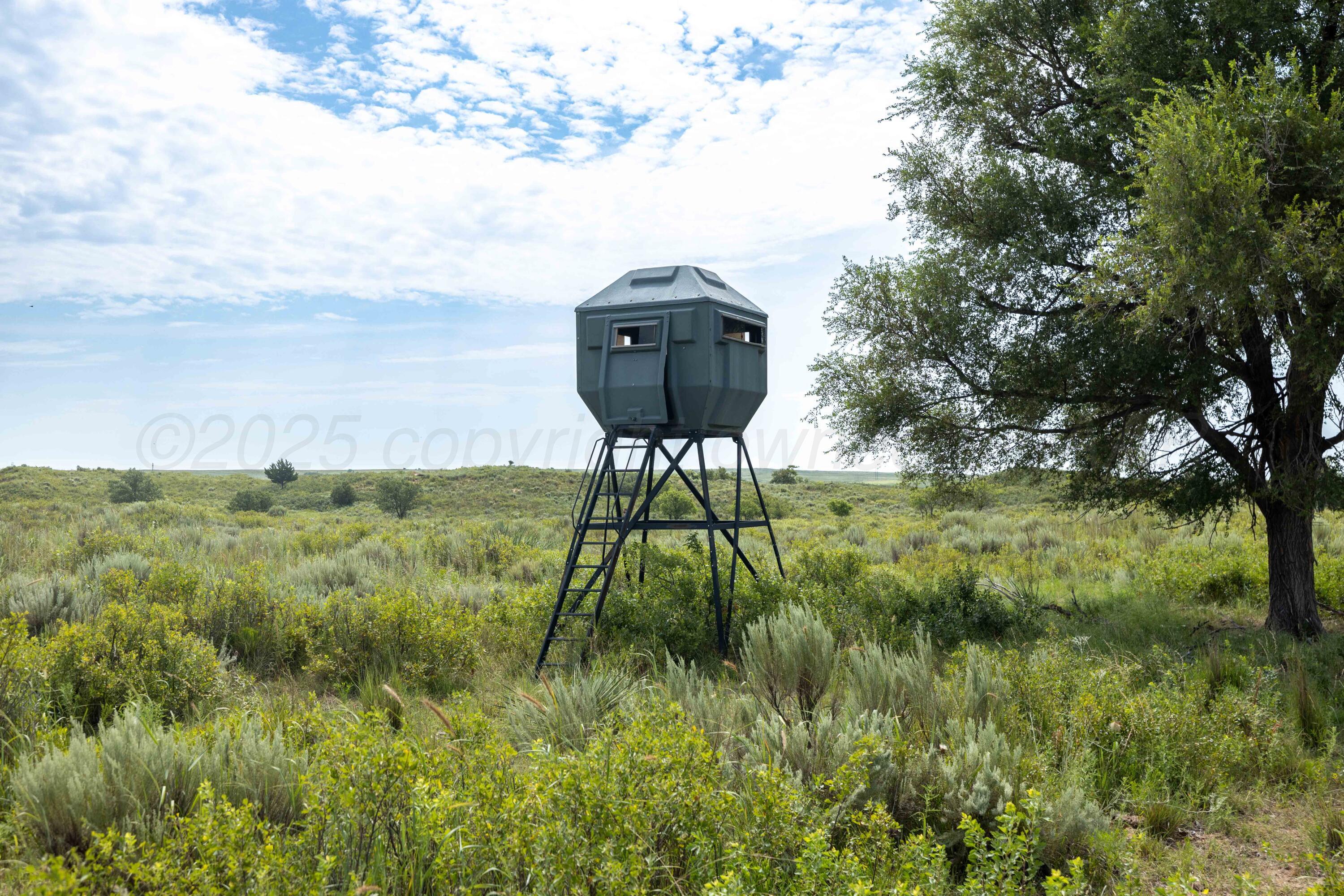 Christner Ranch Wheeler, TX 79096 - Photo 3 of 58 Christner Ranch -On the Ground-4