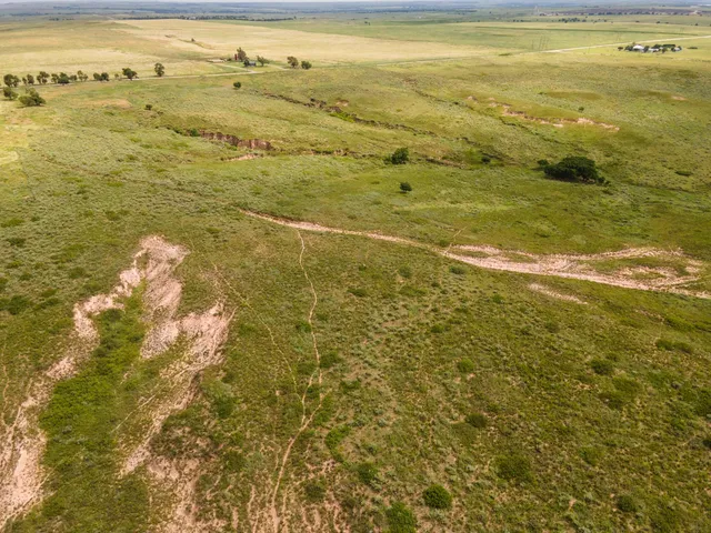 a view of a pathway with a beach