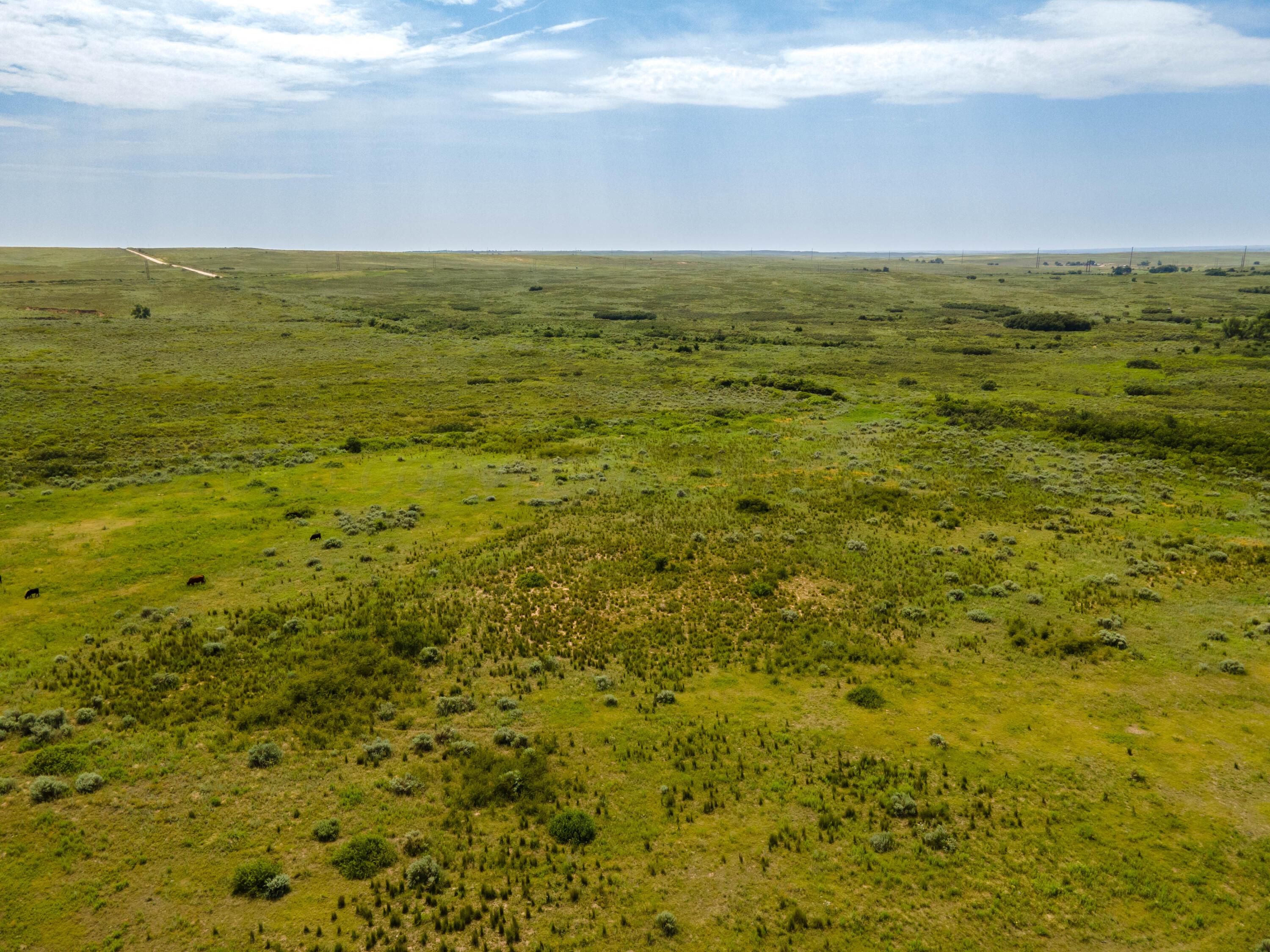Christner Ranch Wheeler, TX 79096 - Photo 40 of 58 a view of an ocean