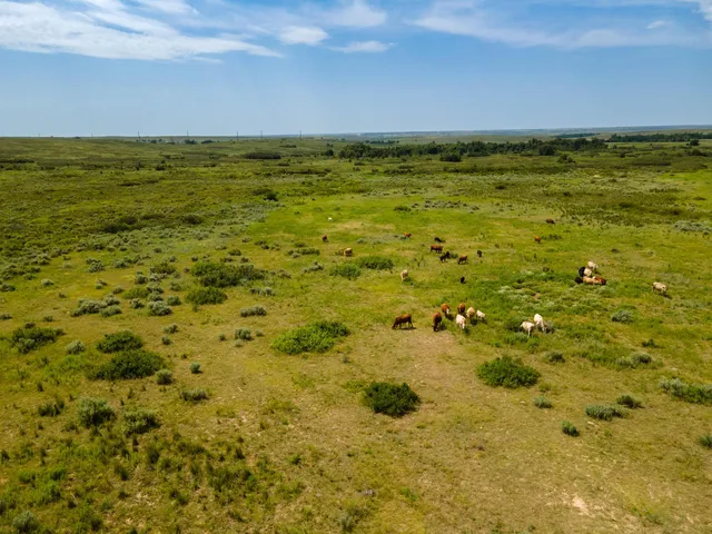 $1,065,900 | Christner Ranch, Wheeler, TX 79096