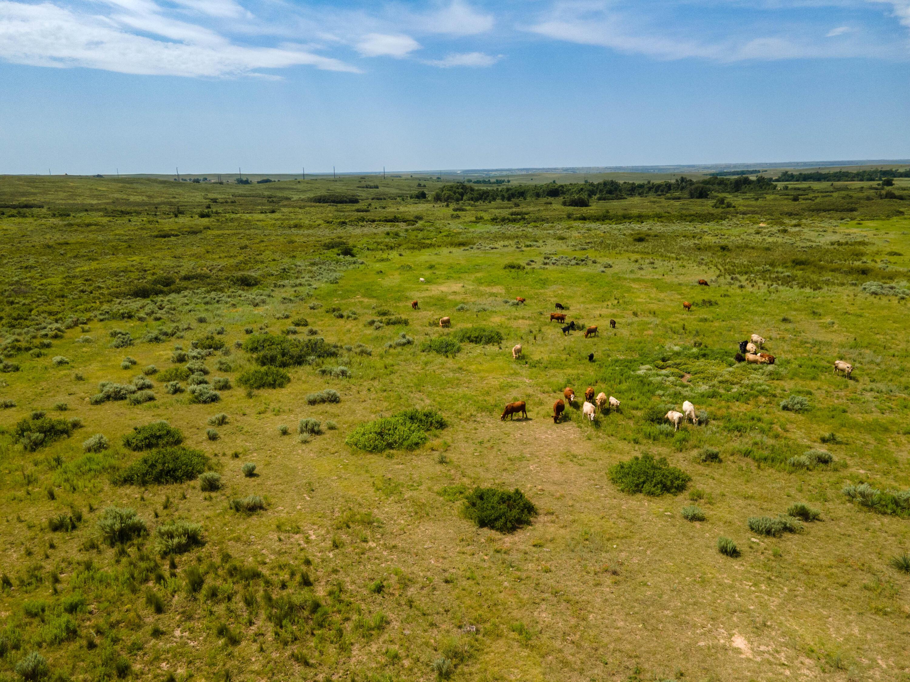 Christner Ranch Wheeler, TX 79096 - Photo 43 of 58 Christner Ranch-58