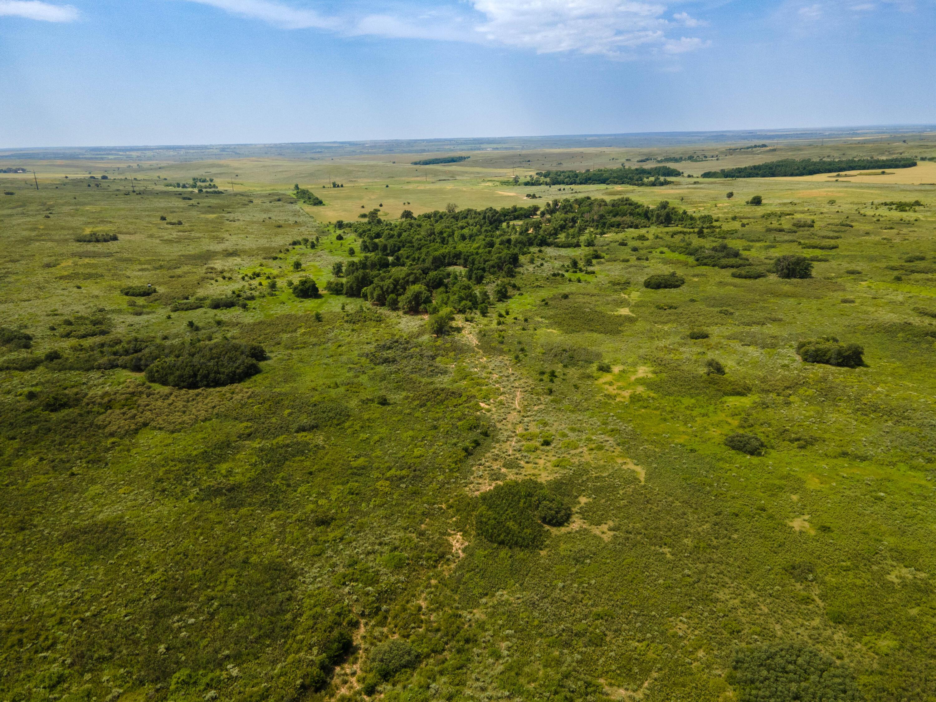 Christner Ranch Wheeler, TX 79096 - Photo 47 of 58 Christner Ranch-62