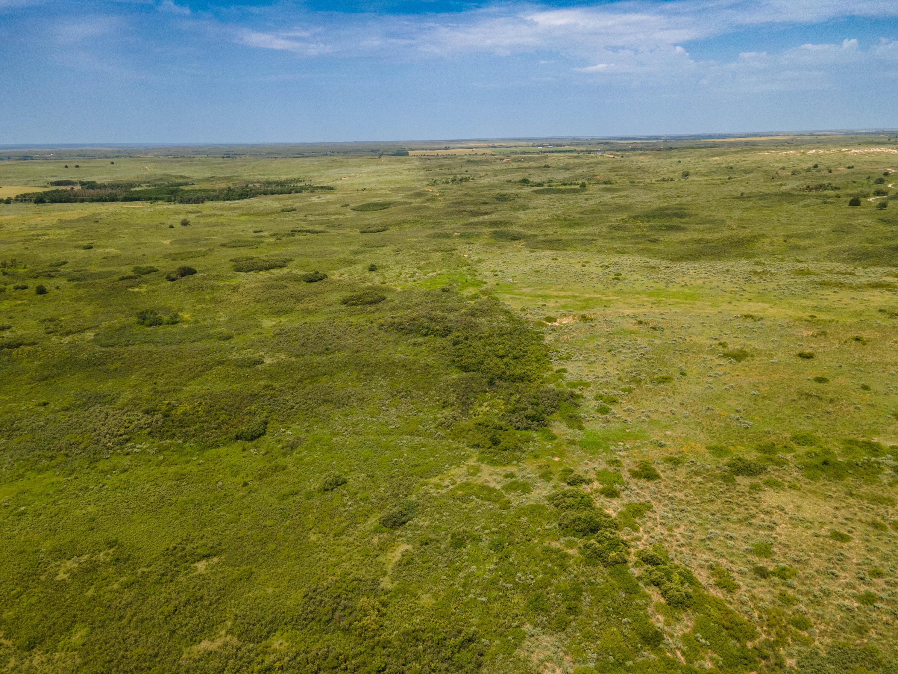 Christner Ranch Wheeler, TX 79096 - Photo 49 of 58 Christner Ranch-65
