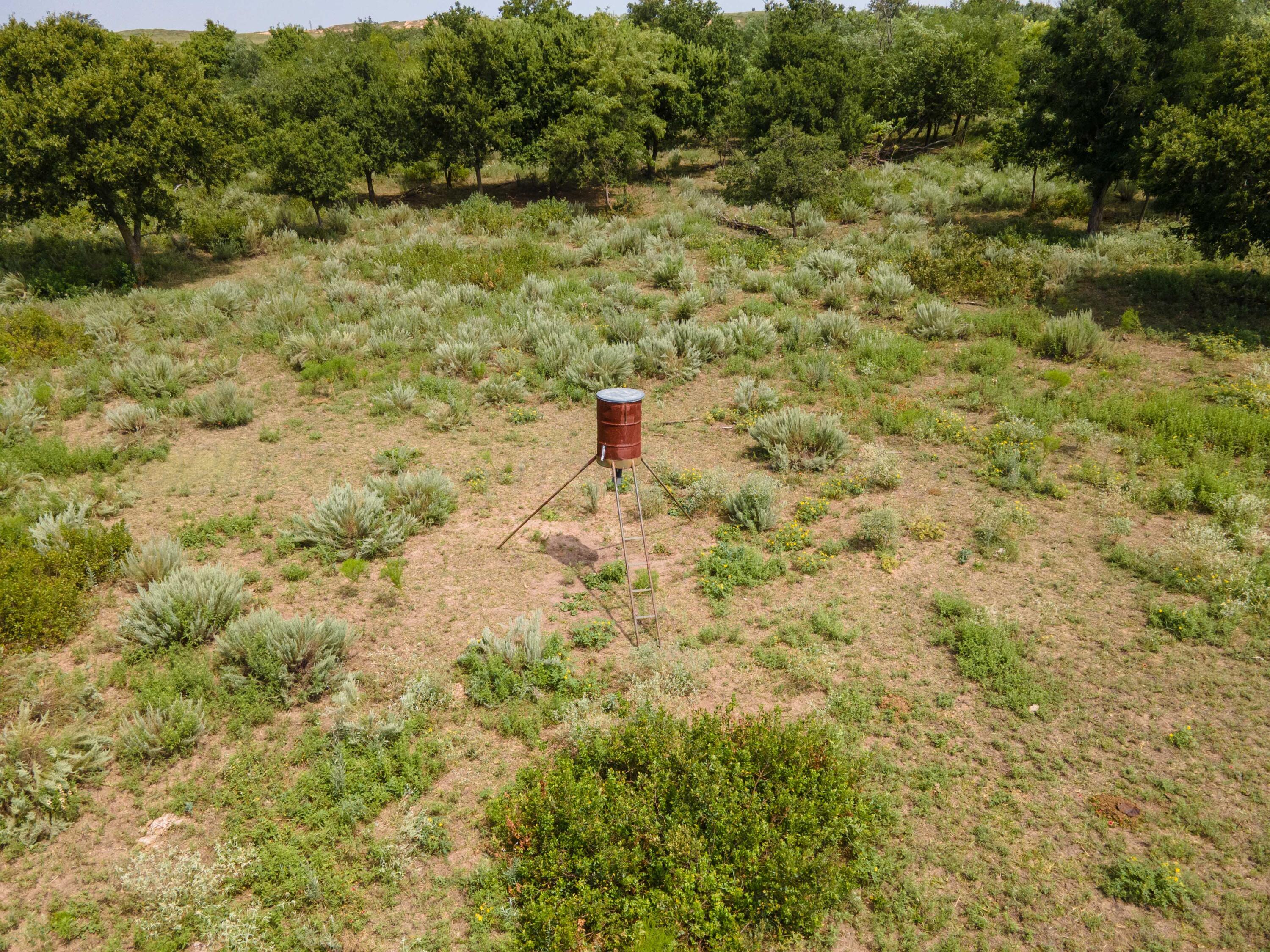 Christner Ranch Wheeler, TX 79096 - Photo 53 of 58 Christner Ranch-73