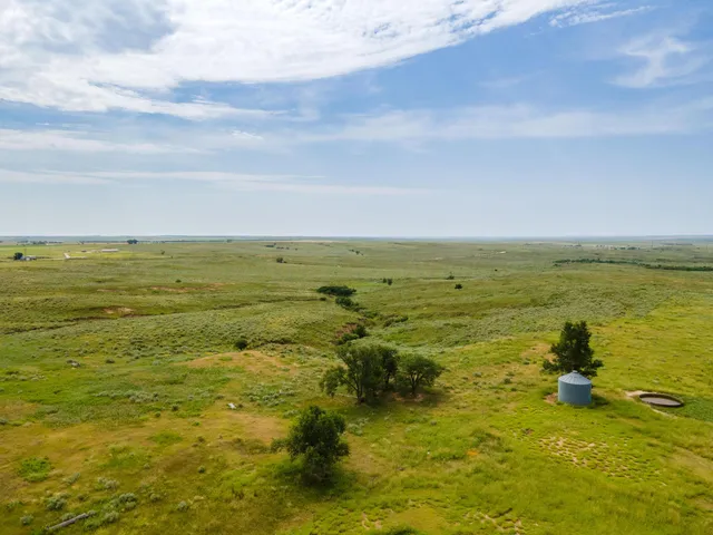 a view of a yard with a house in the background