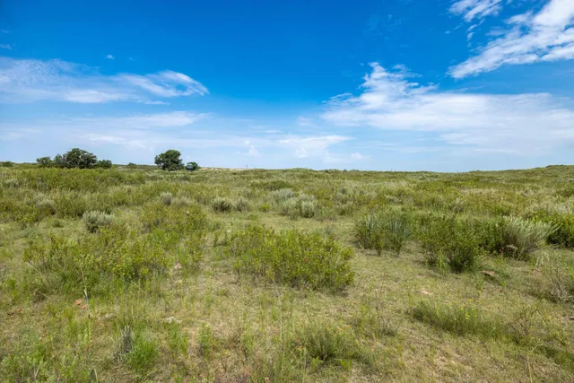 a view of a lake with houses in the back