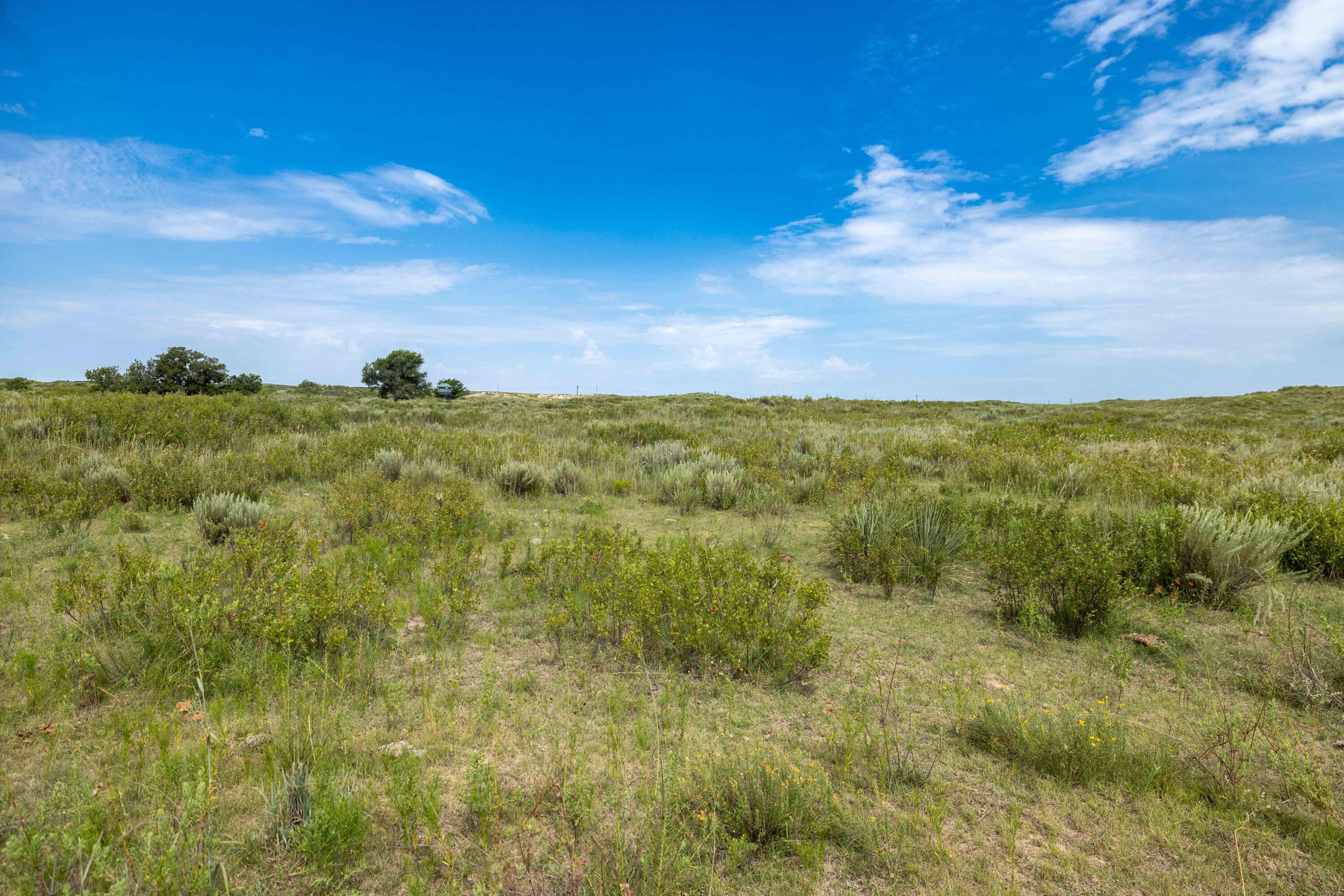 Christner Ranch Wheeler, TX 79096 - Photo 8 of 58 a view of a lake