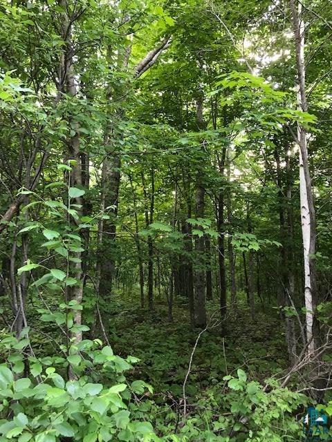 Lot 4-blk Deerview Road Two Harbors, MN 55616 - Photo 2 of 9