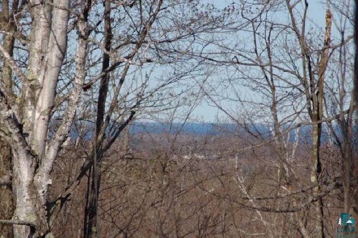 Lot 4-blk Deerview Road Two Harbors, MN 55616 - Photo 3 of 9
