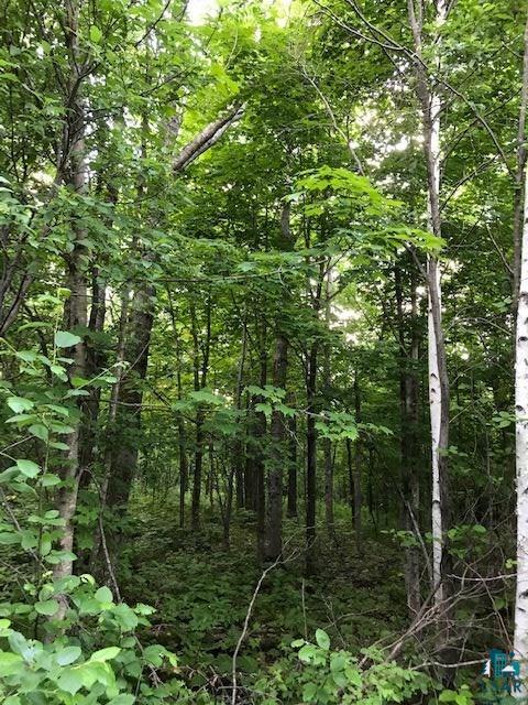 Lot 4-blk Deerview Road Two Harbors, MN 55616 - Photo 4 of 9