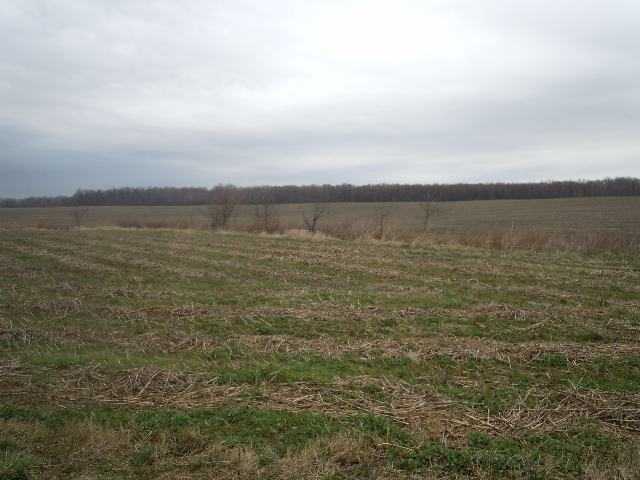 0 Musser Road Baltimore, OH 43105 - Photo 2 of 3