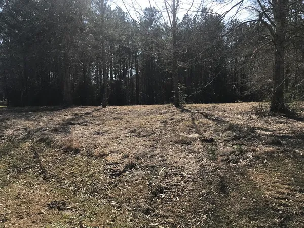 $35,000 | 0 Southeast Skyward Lane, Brookhaven, MS 39601