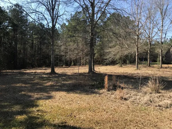 $35,000 | 0 Southeast Skyward Lane, Brookhaven, MS 39601