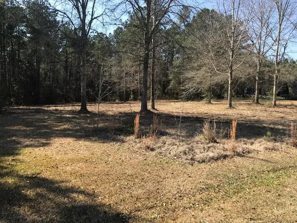 $35,000 | 0 Southeast Skyward Lane, Brookhaven, MS 39601