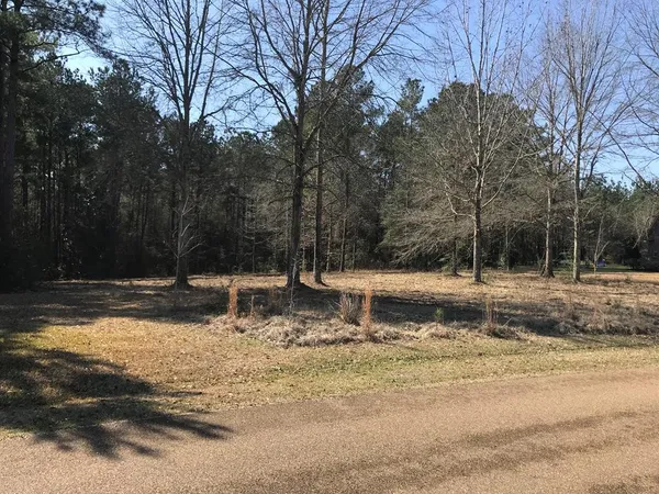 $35,000 | 0 Southeast Skyward Lane, Brookhaven, MS 39601