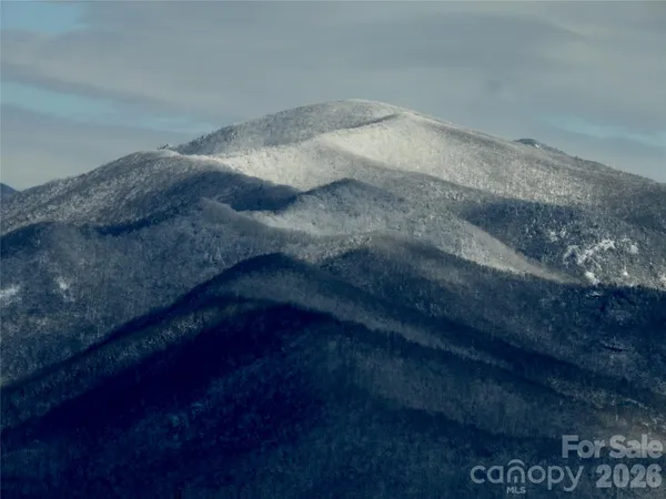 $835,000 | 126 Wild Flower Cove Drive, Swannanoa, NC 28778