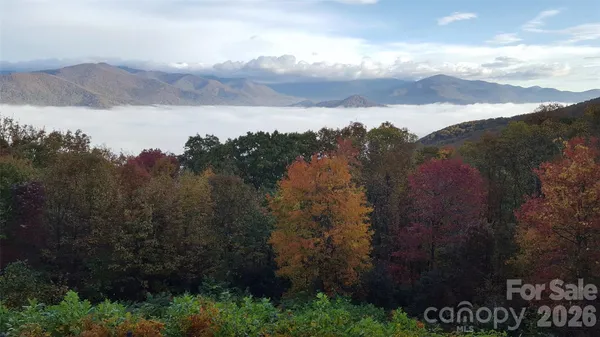 $835,000 | 126 Wild Flower Cove Drive, Swannanoa, NC 28778