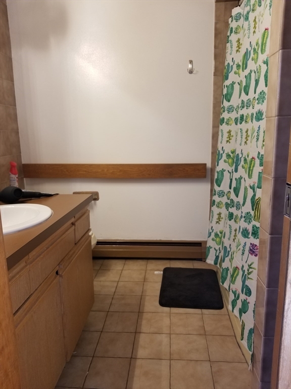 586 Franklin Street, Unit 2 Worcester, MA 01604 - Photo 5 of 7 a bathroom with a sink and a shower