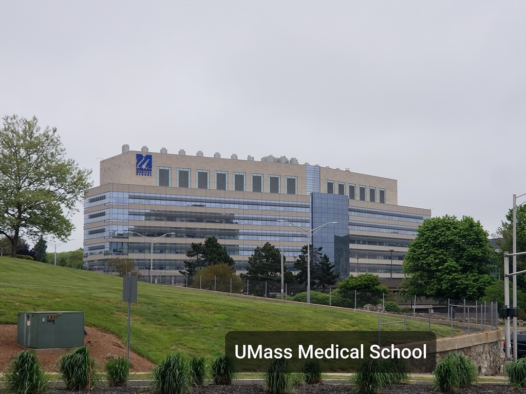 586 Franklin Street, Unit 2 Worcester, MA 01604 - Photo 7 of 7 a view of a house with a yard