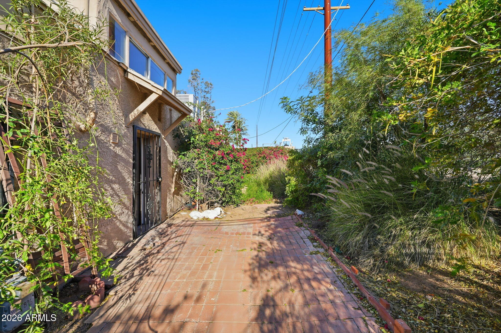 4540 North 44th Street, Unit 8 Phoenix, AZ 85018 - Photo 19 of 23 Yard