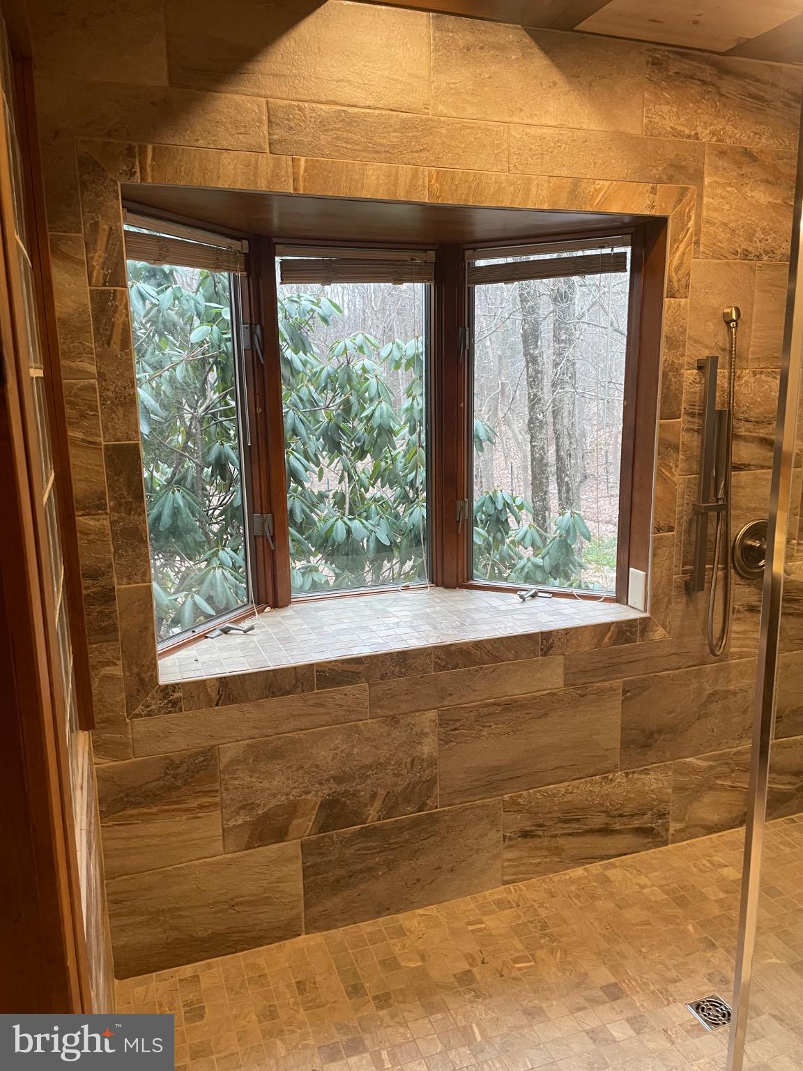 506 Hemlock Lane Lebanon, PA 17042 - Photo 27 of 63 Serene shower with nature views. Picture window