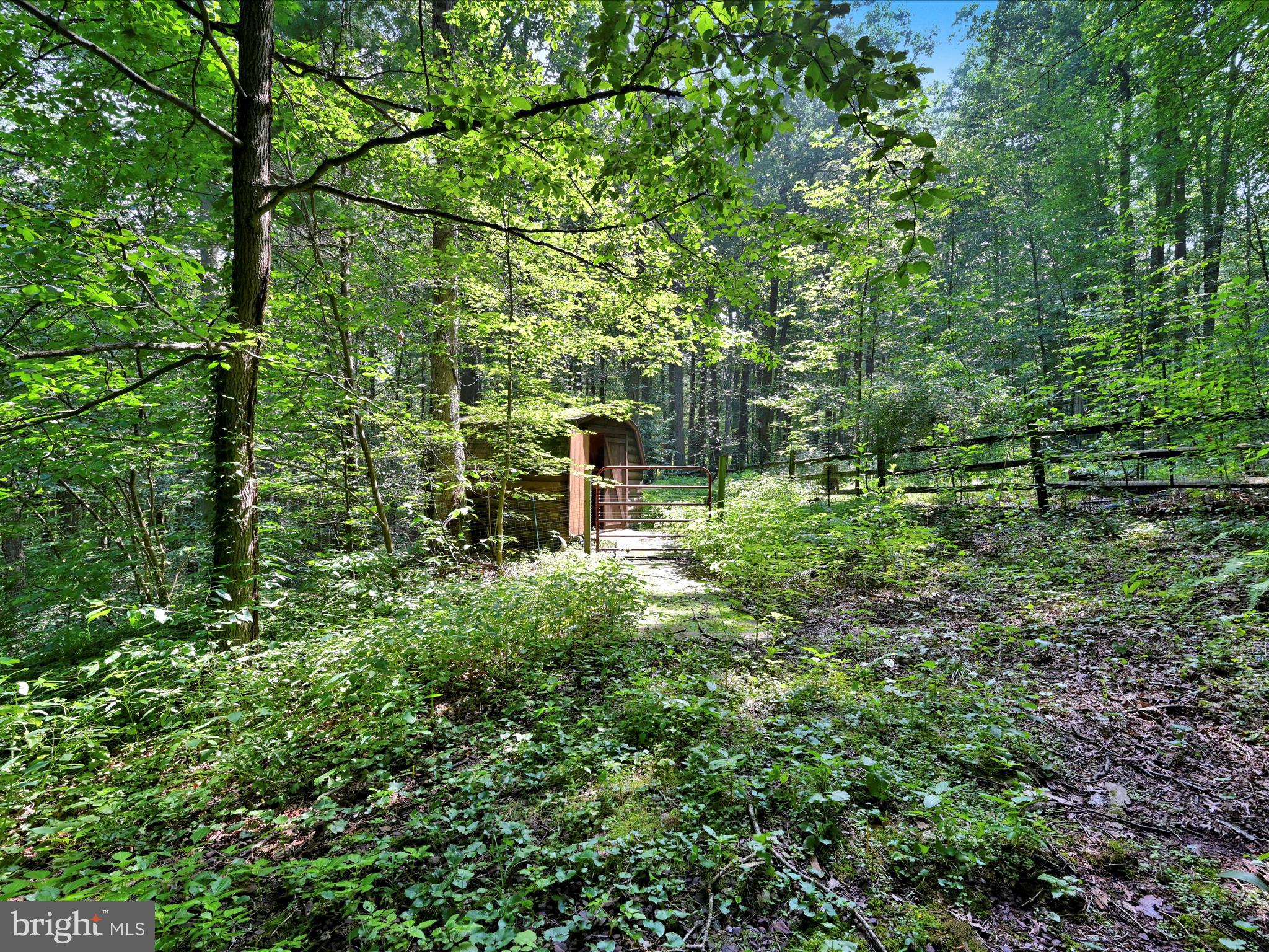 506 Hemlock Lane Lebanon, PA 17042 - Photo 57 of 63 a view of outdoor space and yard