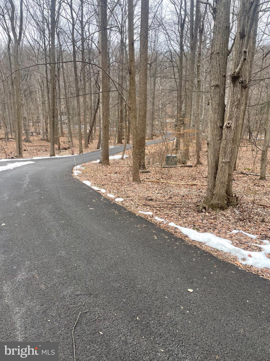 506 Hemlock Lane Lebanon, PA 17042 - Photo 6 of 63 a view of a yard with trees