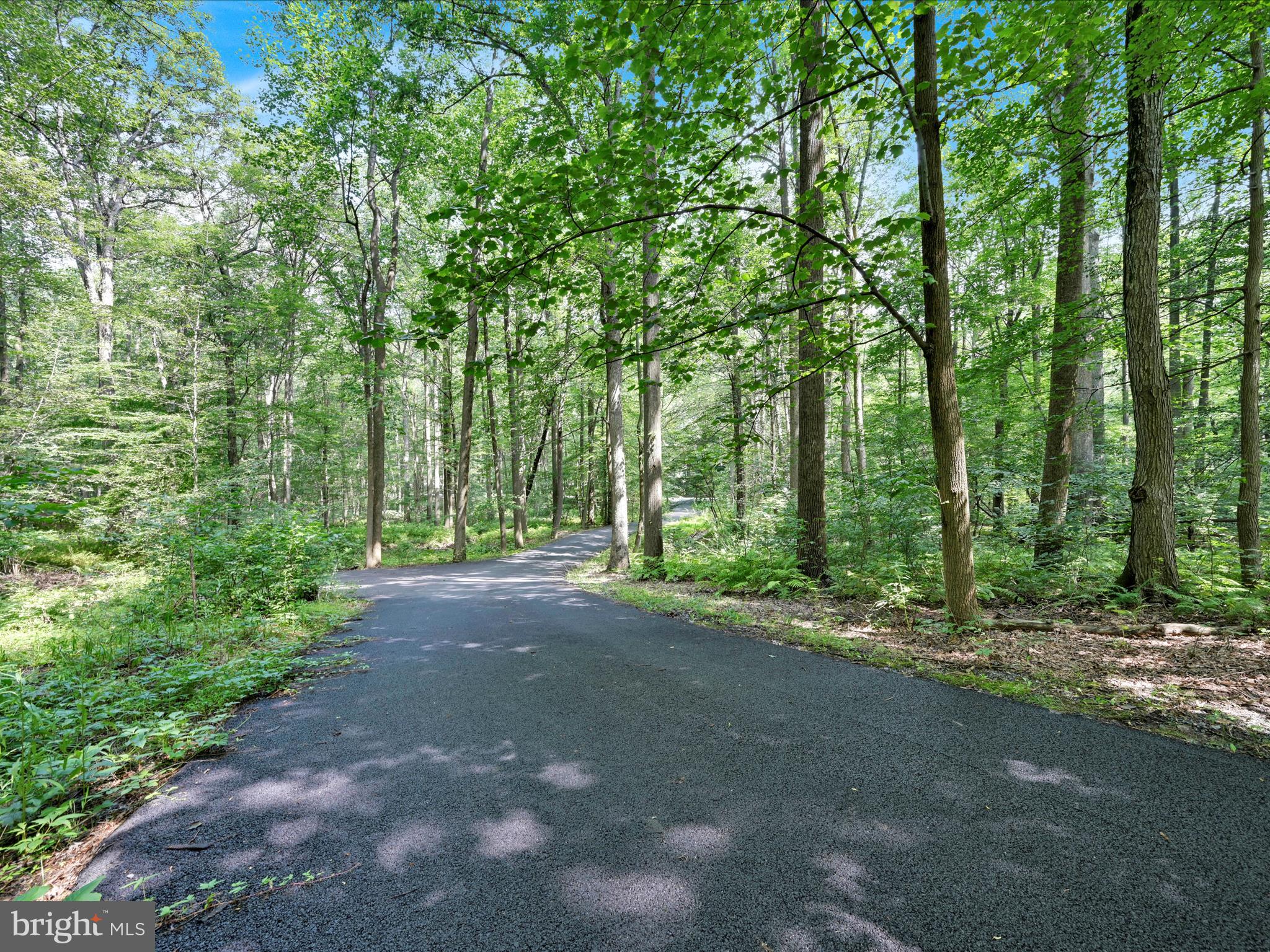 506 Hemlock Lane Lebanon, PA 17042 - Photo 61 of 63 a view of outdoor space and trees