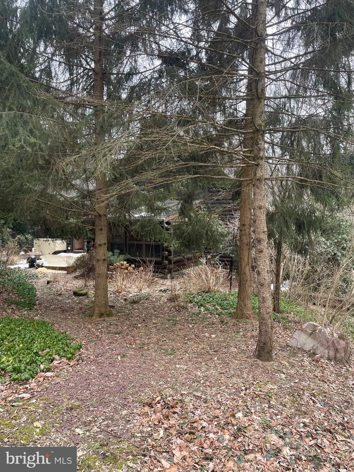 506 Hemlock Lane Lebanon, PA 17042 - Photo 8 of 63 a view of a forest with trees