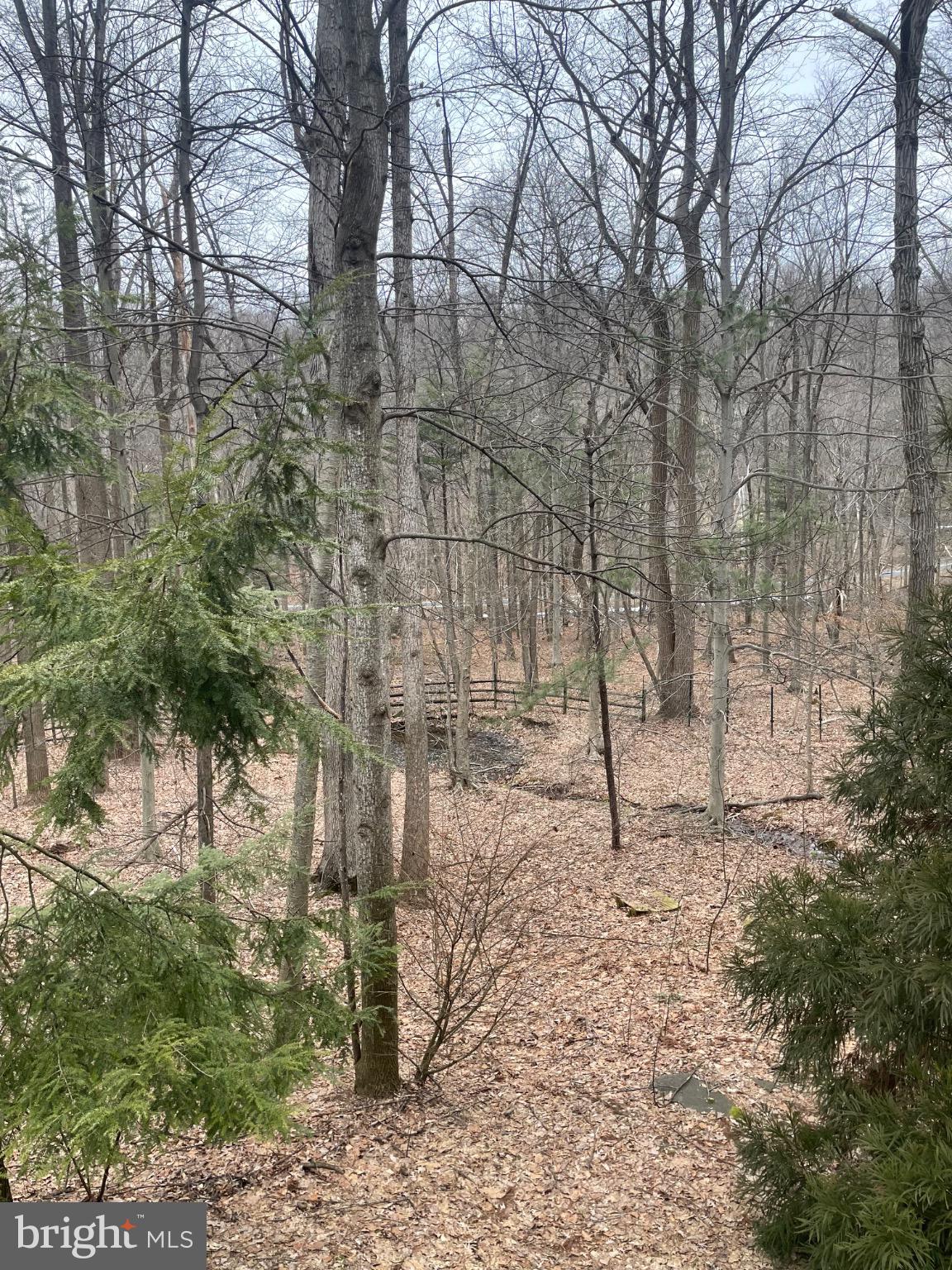 506 Hemlock Lane Lebanon, PA 17042 - Photo 9 of 63 a backyard of a house with lots of green space