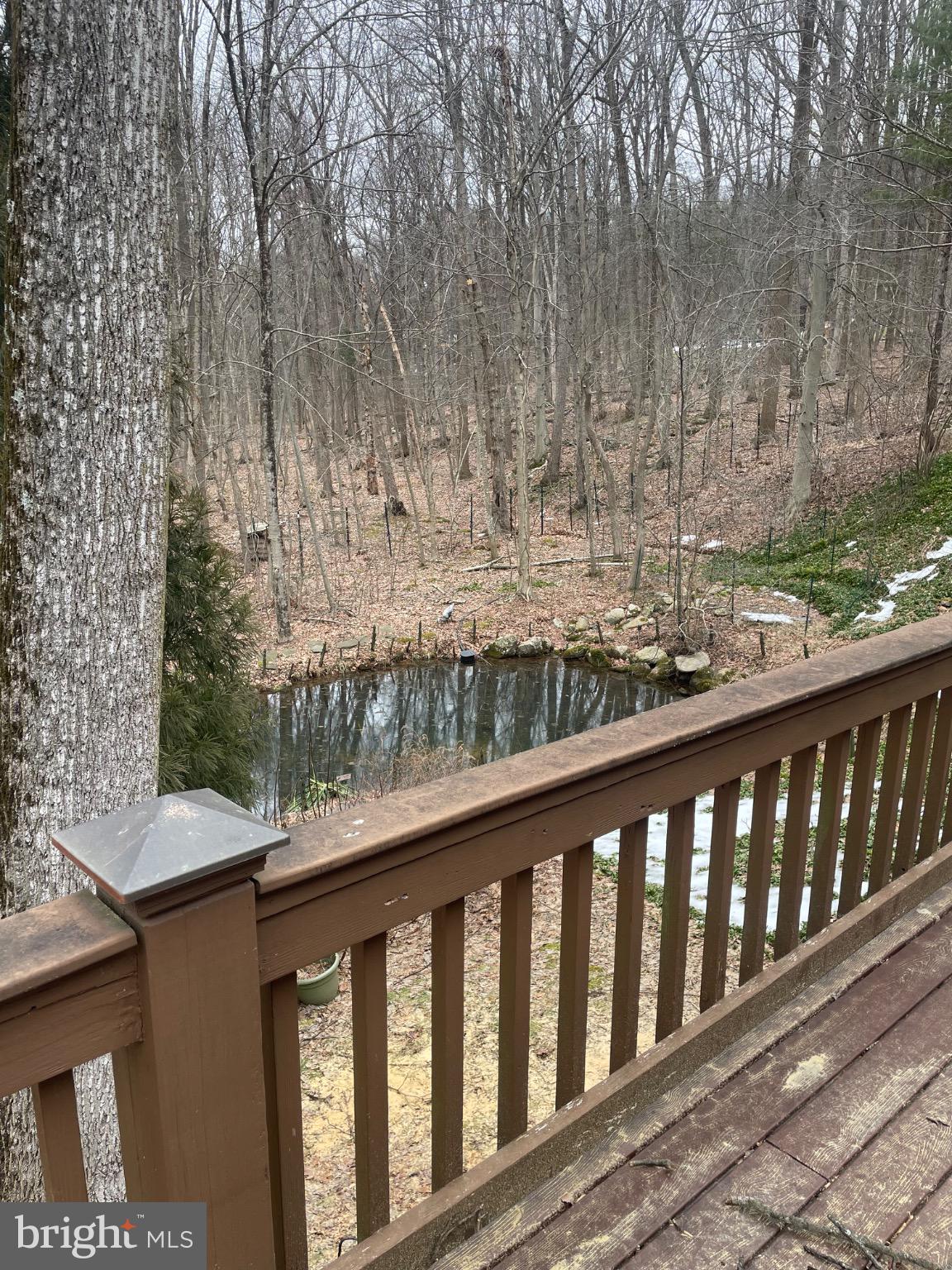 506 Hemlock Lane Lebanon, PA 17042 - Photo 10 of 63 Serene woodland retreat with tranquil pond.