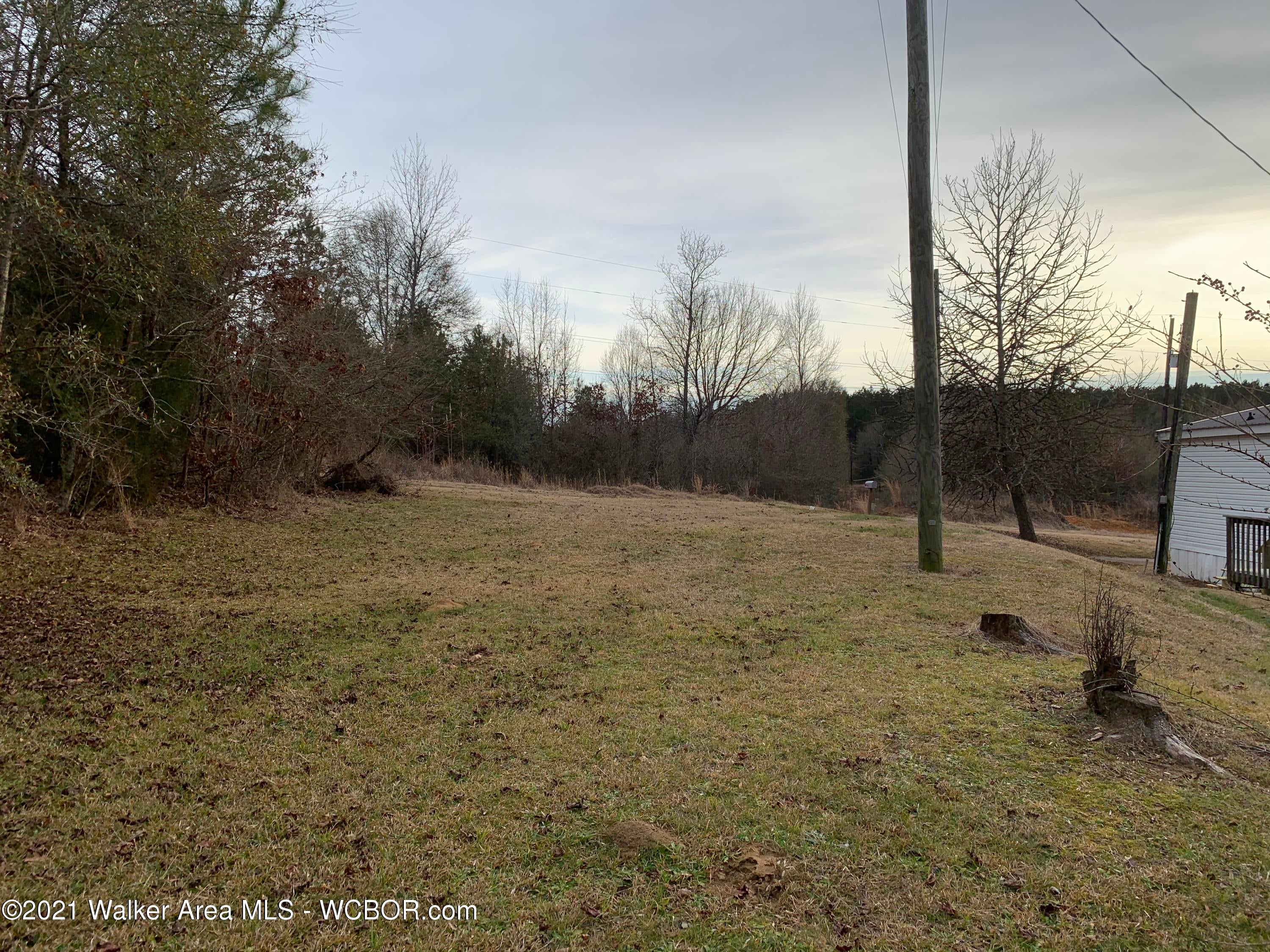 27 Mt Herman Church Road Nauvoo, AL 35578 - Photo 18 of 20 Gallery Image 18
