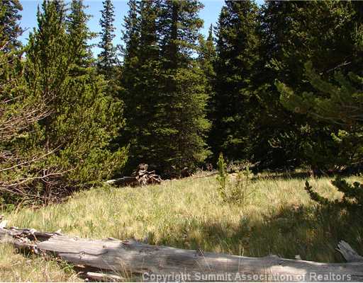 114 Cliff's Way Alma, CO 80420 - Photo 3 of 12 Land/Lot.