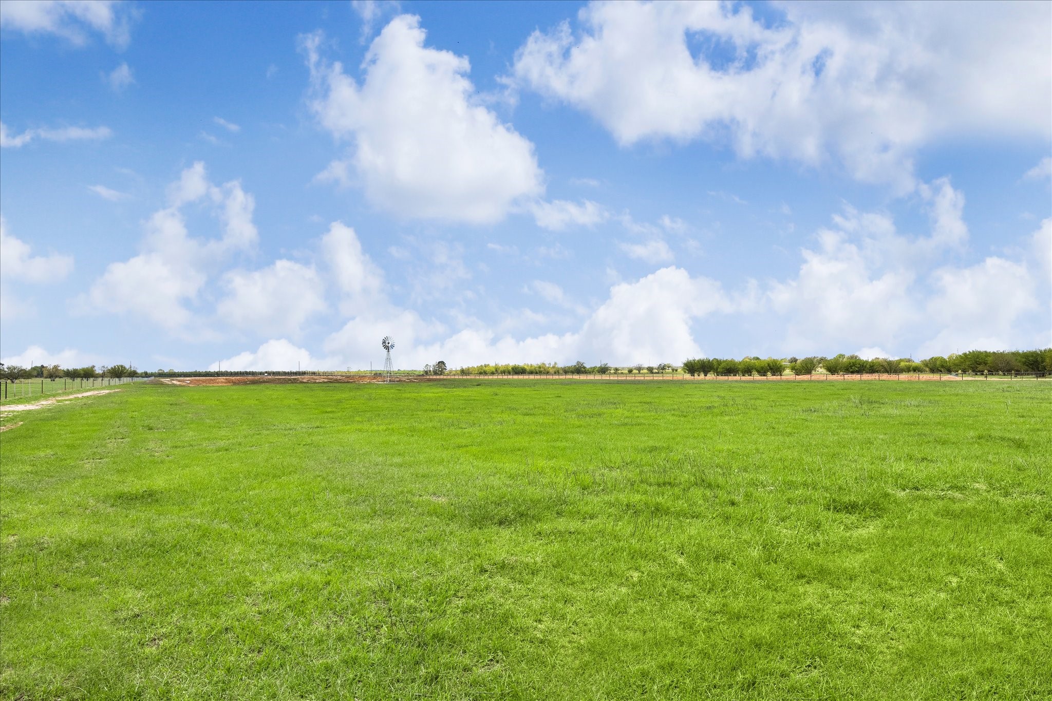 3164 FM 2187 Road Sealy, TX 77474 - Photo 4 of 7 a view of yard with mountain