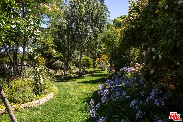 a view of a garden with a tree