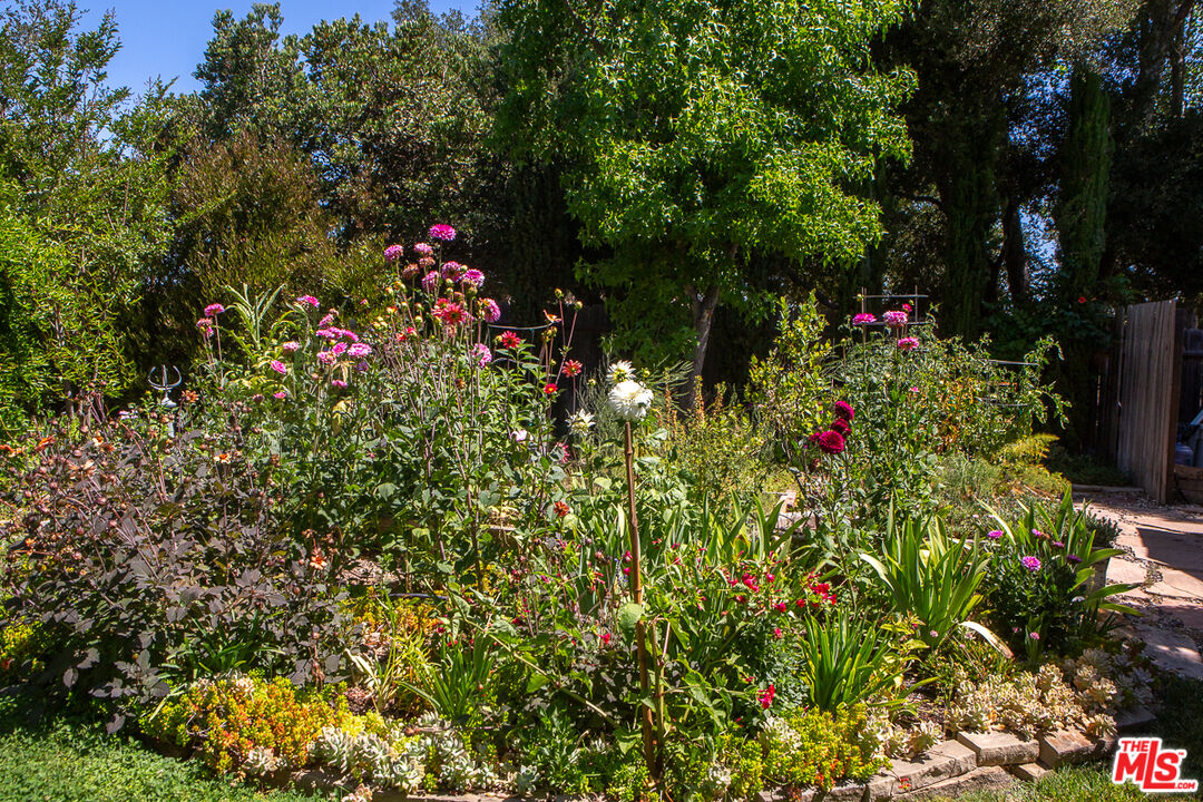 969 Vintage Way Los Alamos, CA 93440 - Photo 24 of 59