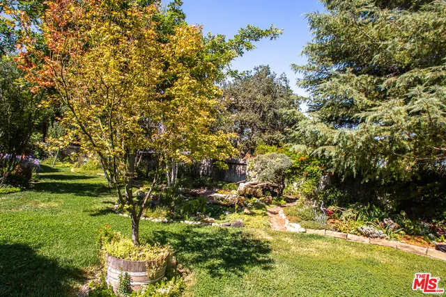 a picture of flowers