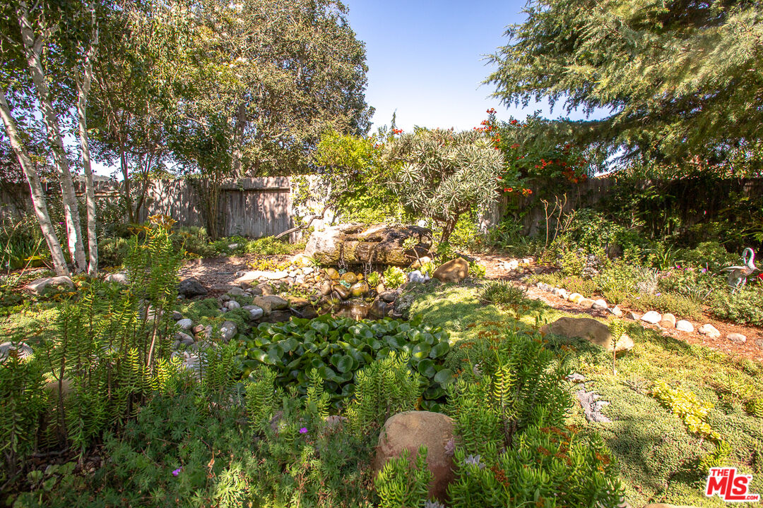 969 Vintage Way Los Alamos, CA 93440 - Photo 28 of 59 a view of a tree in a forest