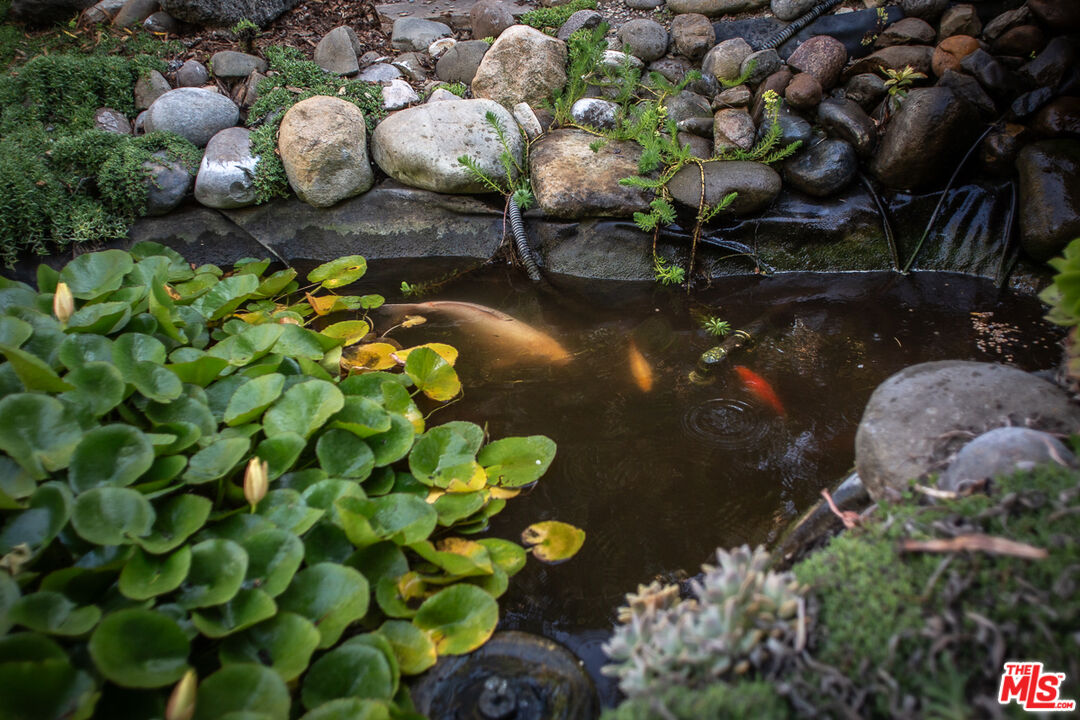 969 Vintage Way Los Alamos, CA 93440 - Photo 29 of 59 a picture of flowers