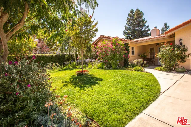 a view of a yard with plants